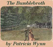 Cover of The Bumblebroth by Patricia Wynn